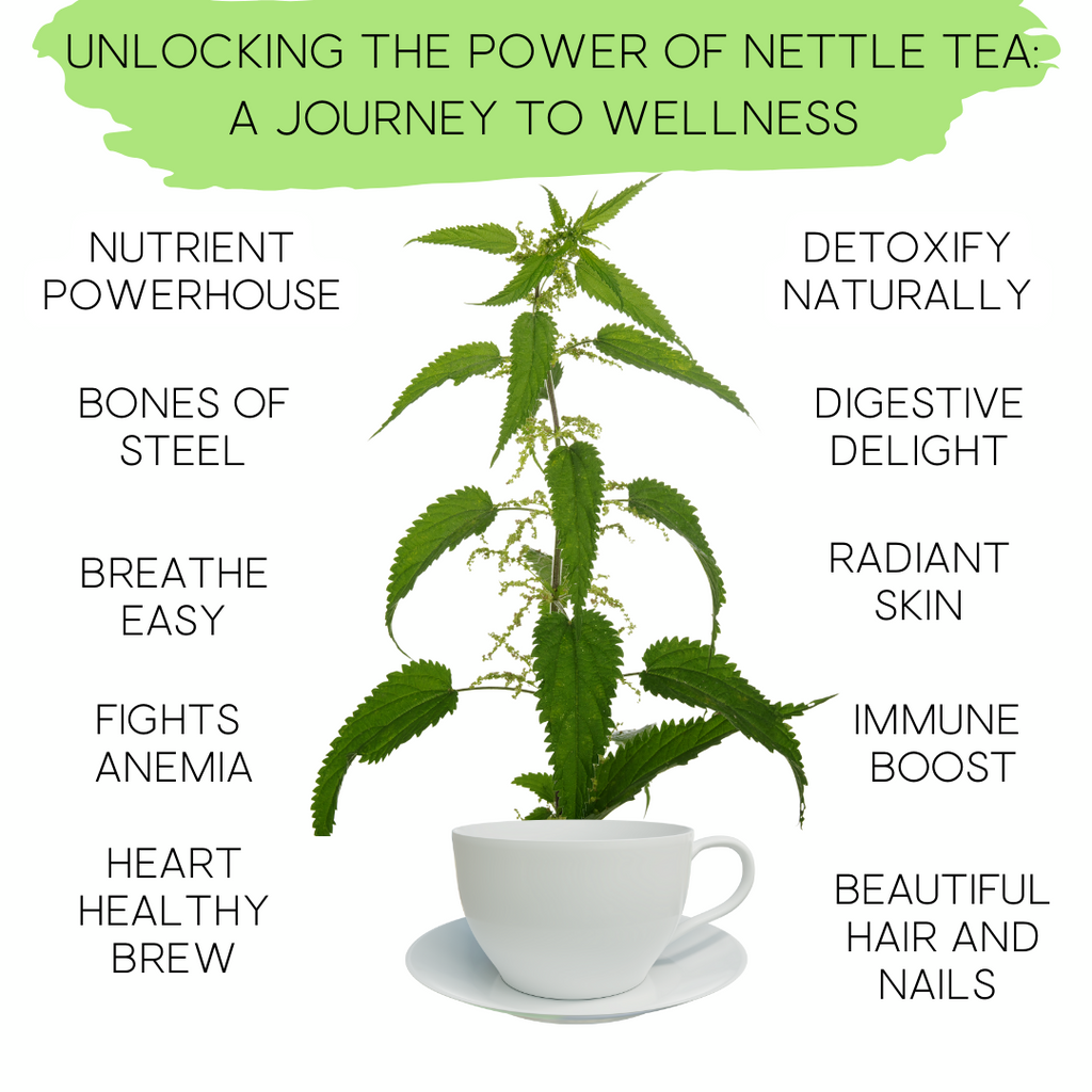 Nettle Herbal Tea | Organic